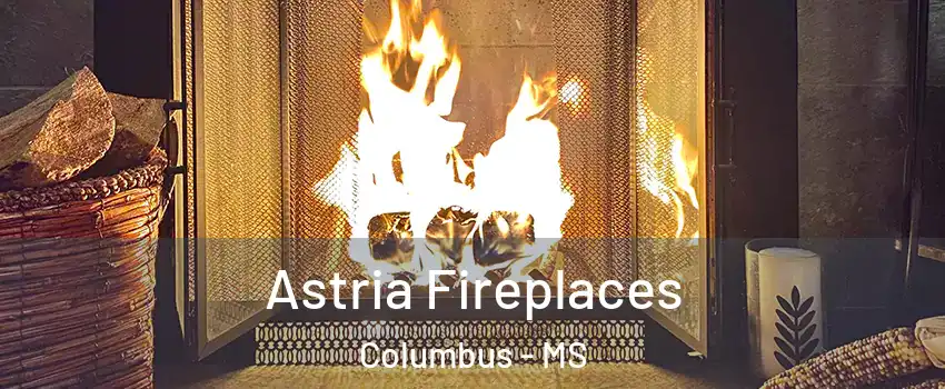  Astria Fireplaces Columbus - MS