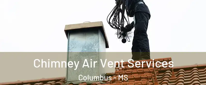  Chimney Air Vent Services Columbus - MS