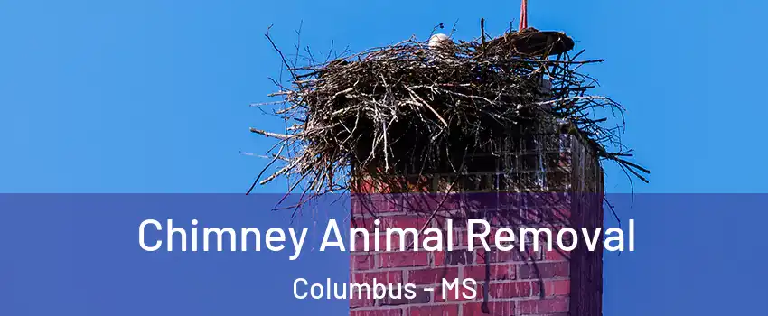  Chimney Animal Removal Columbus - MS