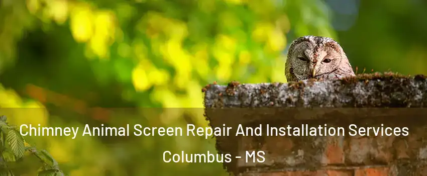  Chimney Animal Screen Repair And Installation Services Columbus - MS