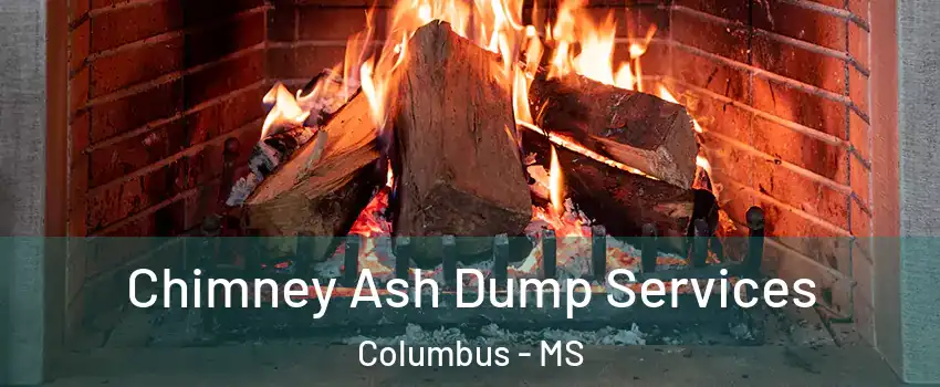 Chimney Ash Dump Services Columbus - MS
