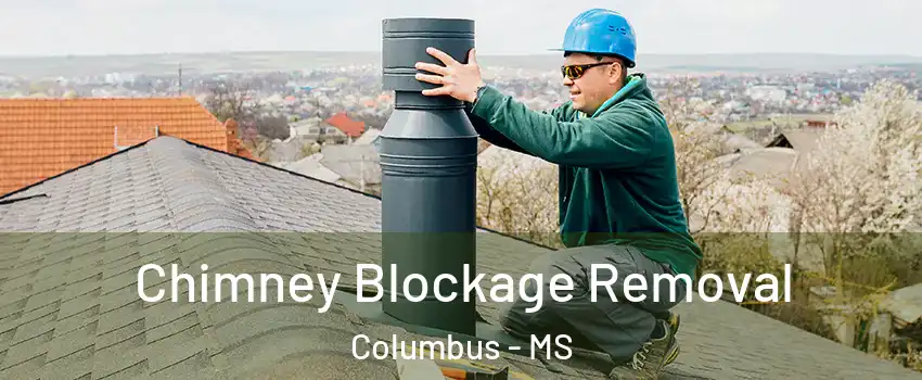  Chimney Blockage Removal Columbus - MS