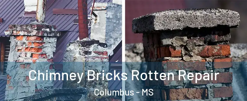  Chimney Bricks Rotten Repair Columbus - MS