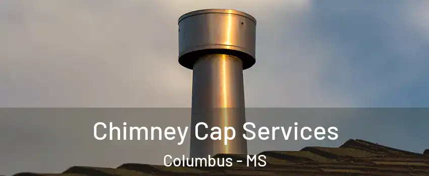  Chimney Cap Services Columbus - MS