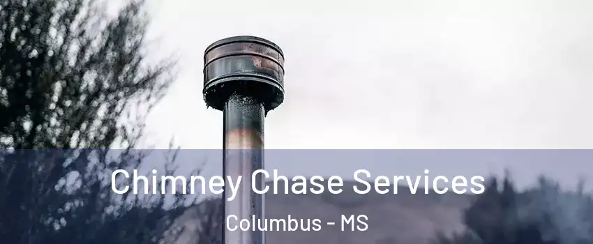  Chimney Chase Services Columbus - MS