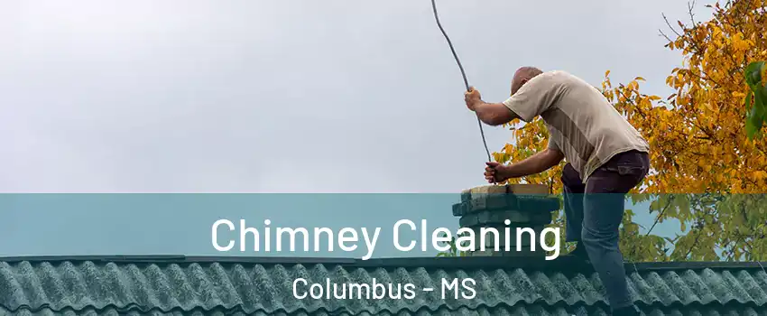  Chimney Cleaning Columbus - MS