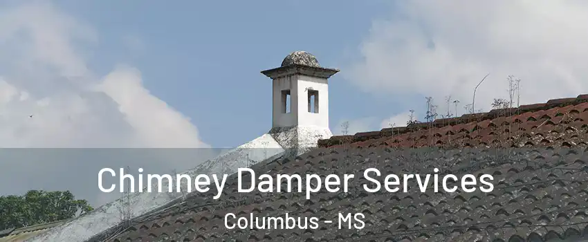  Chimney Damper Services Columbus - MS