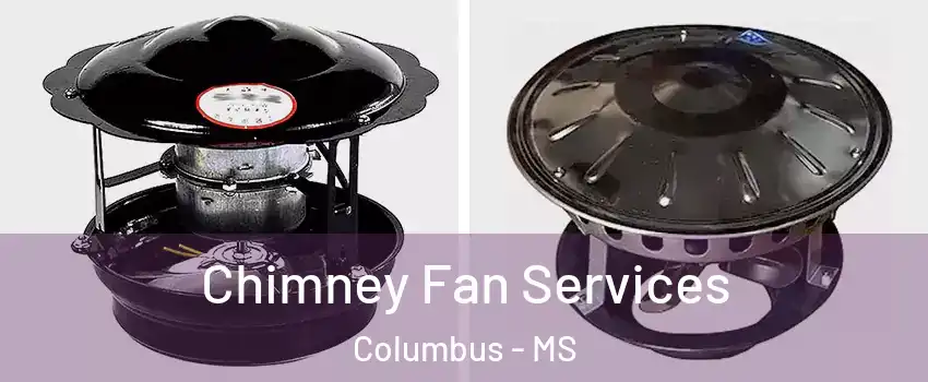  Chimney Fan Services Columbus - MS