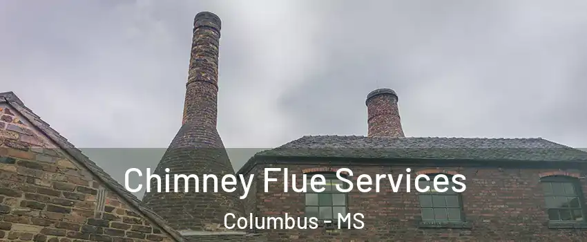  Chimney Flue Services Columbus - MS