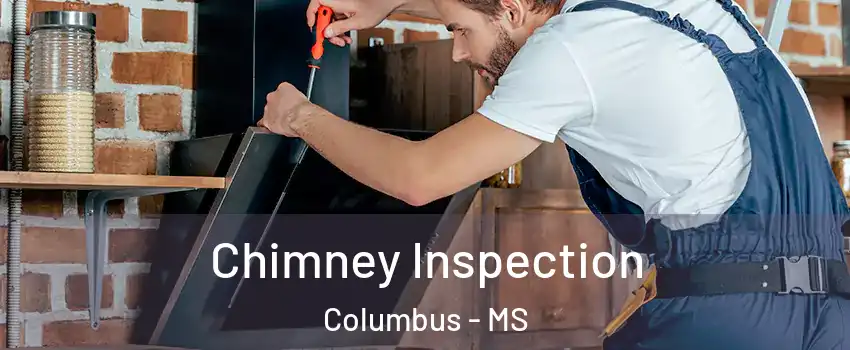  Chimney Inspection Columbus - MS