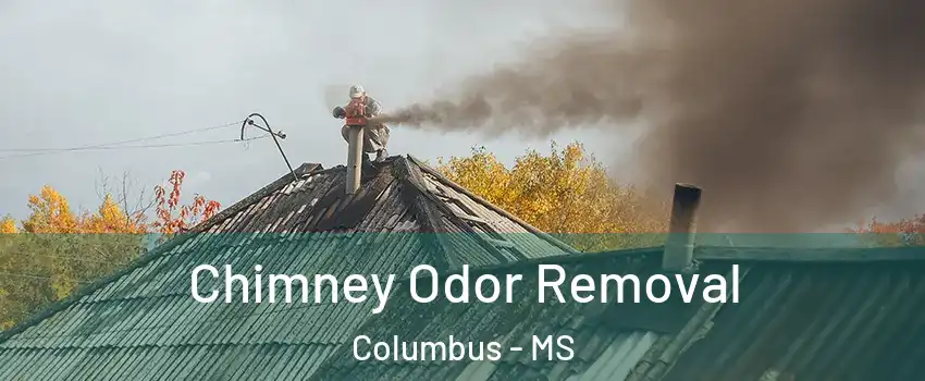  Chimney Odor Removal Columbus - MS