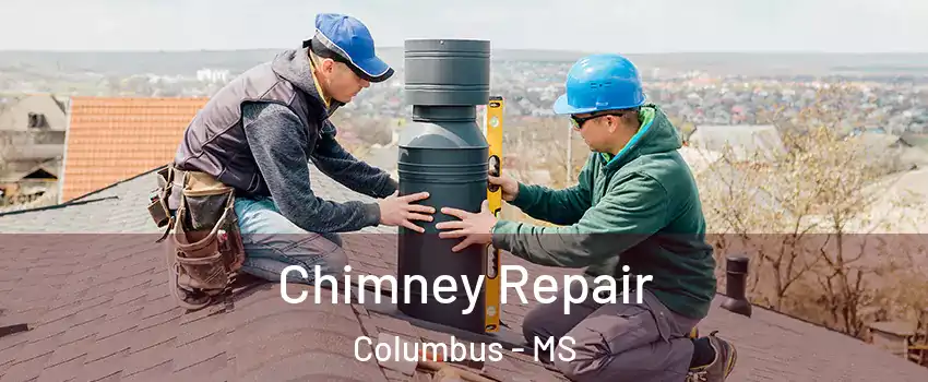  Chimney Repair Columbus - MS