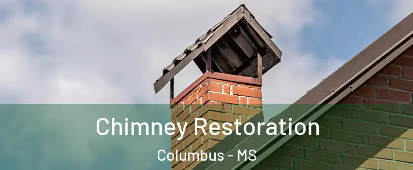  Chimney Restoration Columbus - MS