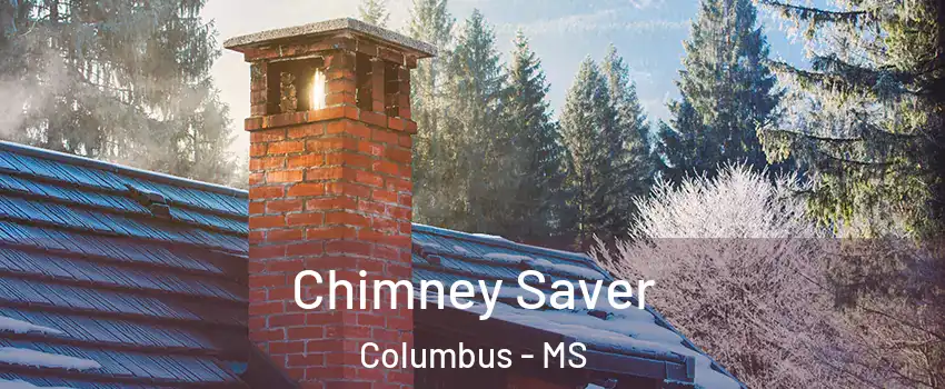  Chimney Saver Columbus - MS