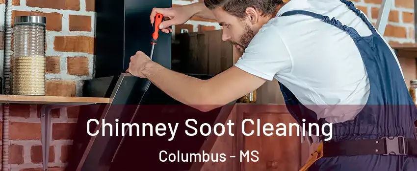  Chimney Soot Cleaning Columbus - MS