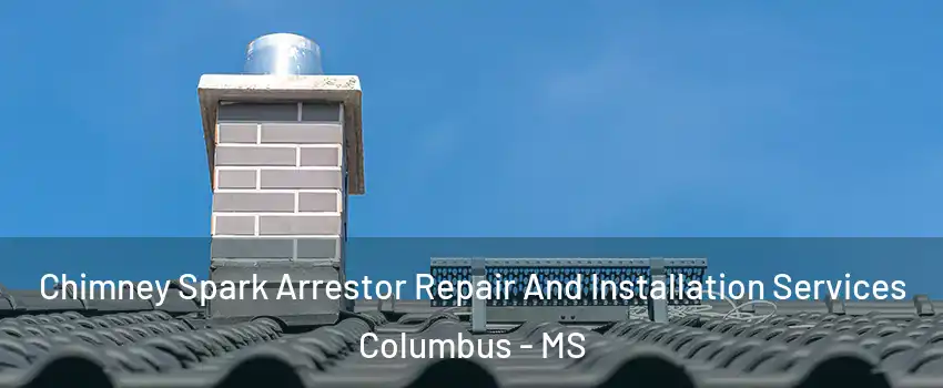  Chimney Spark Arrestor Repair And Installation Services Columbus - MS