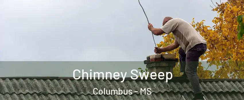  Chimney Sweep Columbus - MS