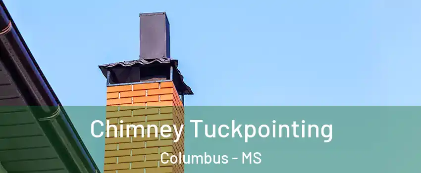  Chimney Tuckpointing Columbus - MS
