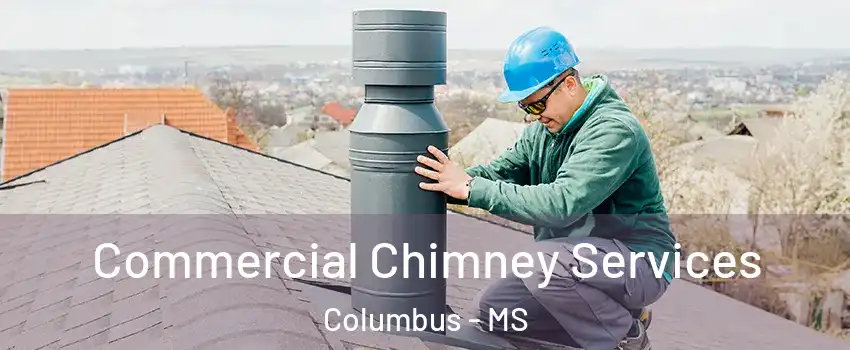  Commercial Chimney Services Columbus - MS