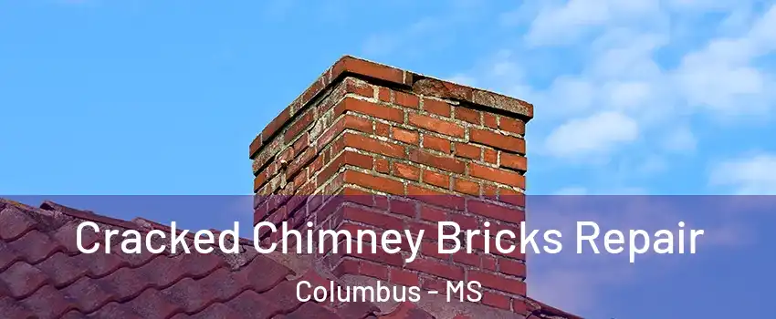  Cracked Chimney Bricks Repair Columbus - MS