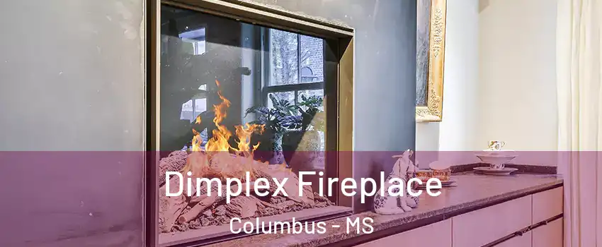  Dimplex Fireplace Columbus - MS