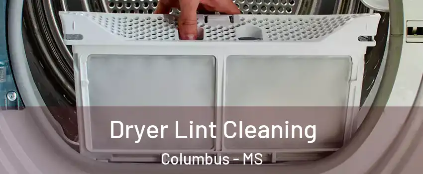  Dryer Lint Cleaning Columbus - MS