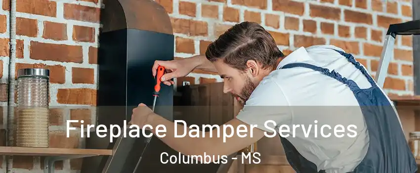  Fireplace Damper Services Columbus - MS