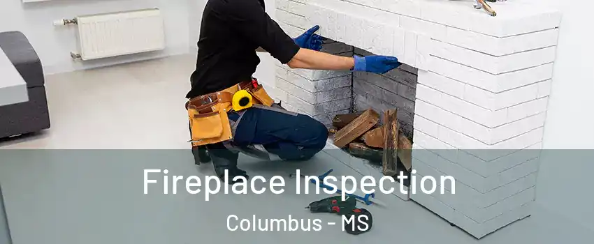  Fireplace Inspection Columbus - MS