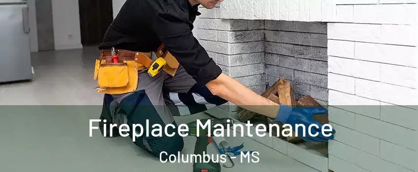  Fireplace Maintenance Columbus - MS