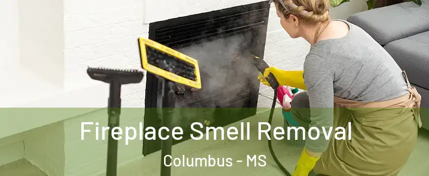  Fireplace Smell Removal Columbus - MS