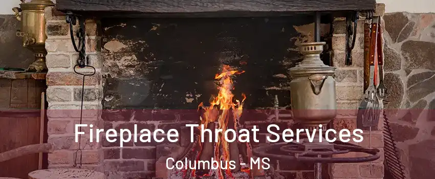  Fireplace Throat Services Columbus - MS