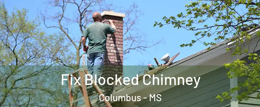  Fix Blocked Chimney Columbus - MS