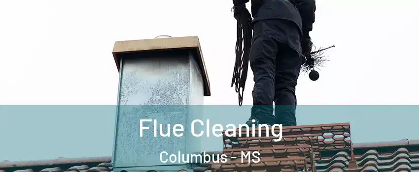 Flue Cleaning Columbus - MS