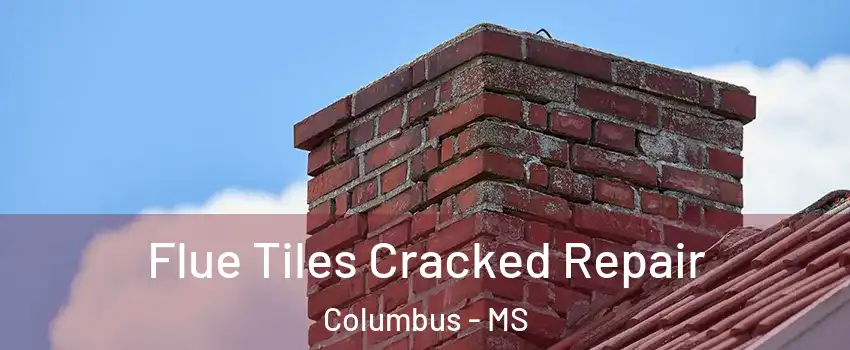  Flue Tiles Cracked Repair Columbus - MS