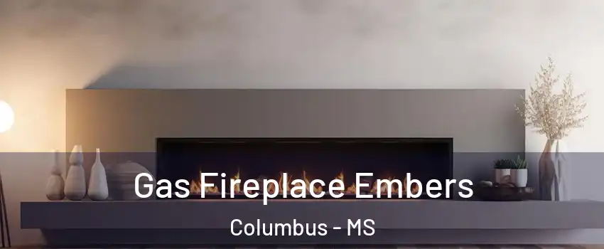  Gas Fireplace Embers Columbus - MS