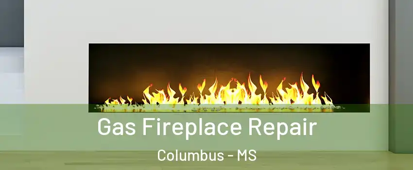  Gas Fireplace Repair Columbus - MS