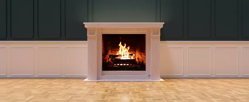 Napoleon Electric Fireplaces Inspection Service in Columbus, Mississippi