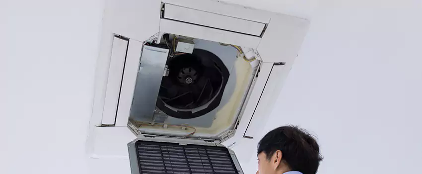 Benefits of Professional Air Duct Cleaning in Columbus, Mississippi
