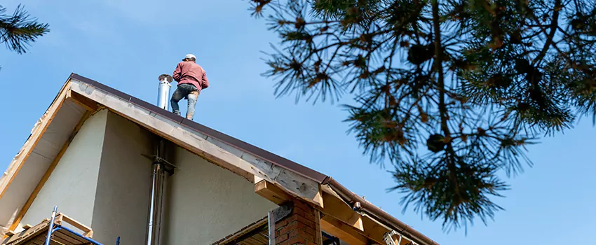 Birds Removal Contractors from Chimney in Columbus, MS