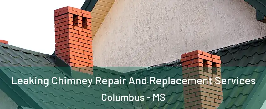  Leaking Chimney Repair And Replacement Services Columbus - MS