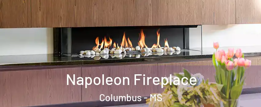  Napoleon Fireplace Columbus - MS
